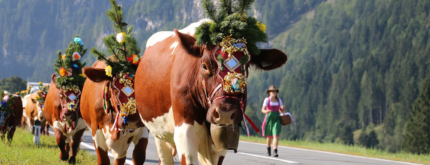 Bäuerin Maria Haym über das Leben als junge Frau auf einem traditionsreichen Erbhof