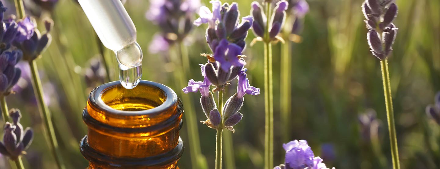 Aromatherapie: Die 6 besten ätherischen Öle für zu Hause