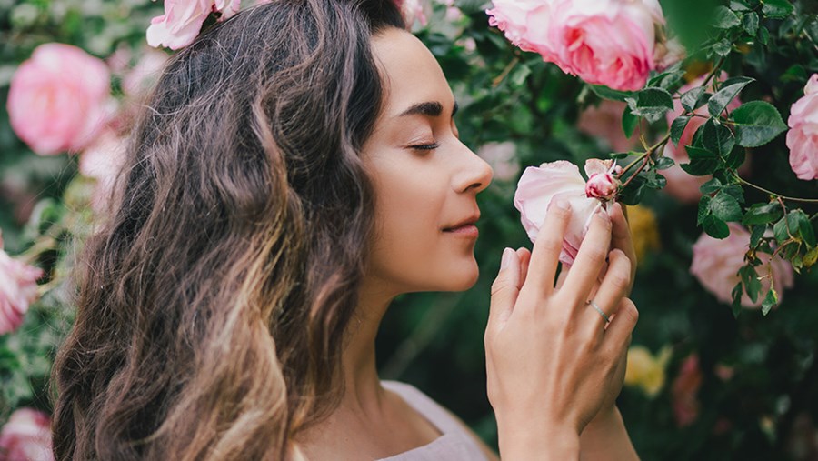 Aromatherapie: Frau riecht an Rose ACTIVE BEAUTY: dm Magazin für Beauty und Wohlbefinden plus Expertise vom dm friseur- & kosmetikstudio